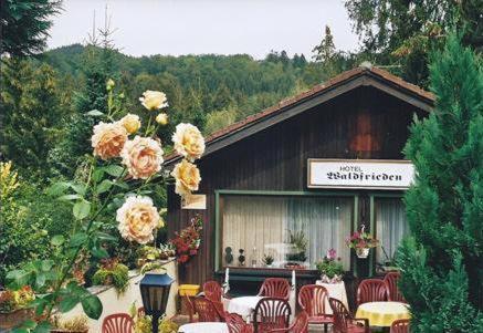 Ferienhotel Waldfrieden Bad Sachsa Zewnętrze zdjęcie